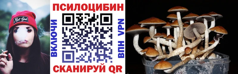 наркота  Горячий Ключ  дарк нет телеграм  Галлюциногенные грибы Cubensis 